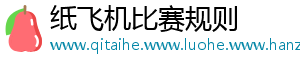 纸飞机比赛规则
